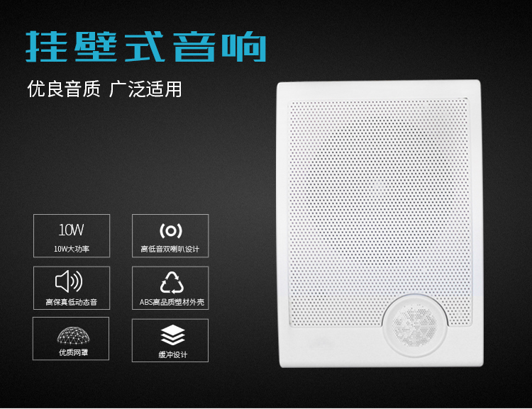 双频壁挂式音箱